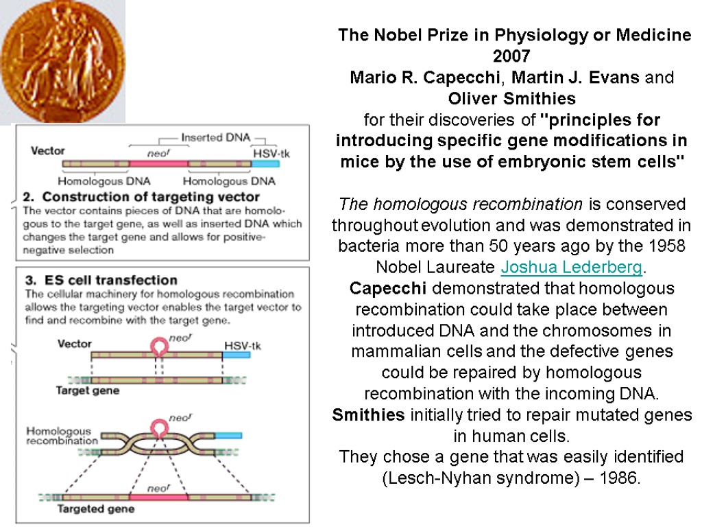 The Nobel Prize in Physiology or Medicine 2007 Mario R. Capecchi, Martin J. Evans